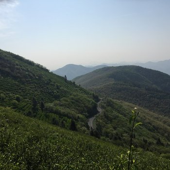 湖州梦回山居酒店提供图片