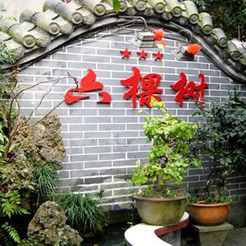 崇州六棵树客栈