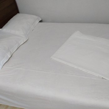 丹东芝麻友友公寓酒店提供图片