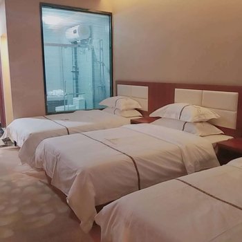 北屯天辰国际大酒店酒店提供图片