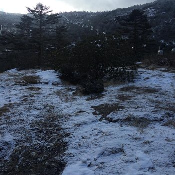 禄劝轿子雪山龙泉酒店酒店提供图片