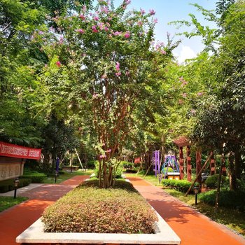 重庆兰心惠质复式酒店提供图片