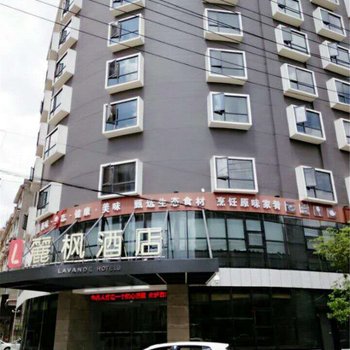 丽枫酒店(丽枫LAVANDE)株洲醴陵火车站店酒店提供图片