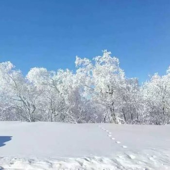 雪乡永安家庭宾馆酒店提供图片