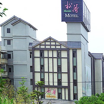 桃园松荷汽车旅馆(MatsuniMotel)酒店提供图片