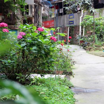 乐山转角之家公寓(泌水院步行街分店)