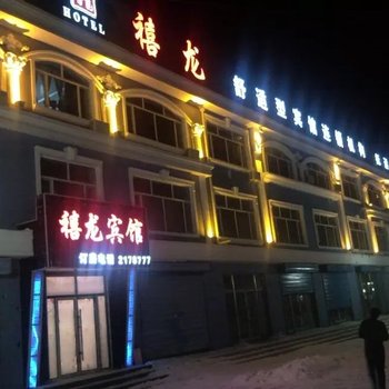 禧龙宾馆(抚远店)酒店提供图片