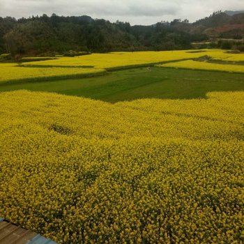 婺源山村民宿酒店提供图片