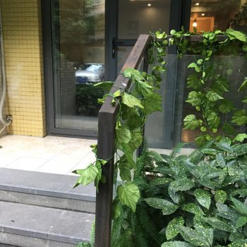 �ɶ���ī�����ͨ��Ԣ(�����ű��ֵ�)�Ƶ��ṩͼƬ