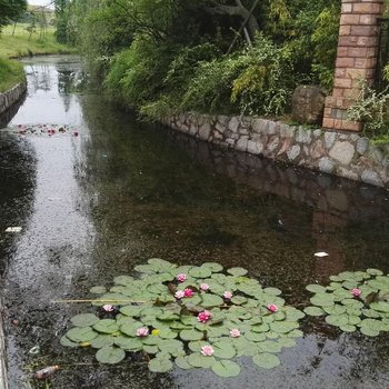 芜湖县阳光半岛家庭花园公寓酒店提供图片