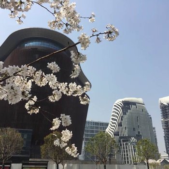 南京雨花客厅民宿酒店提供图片