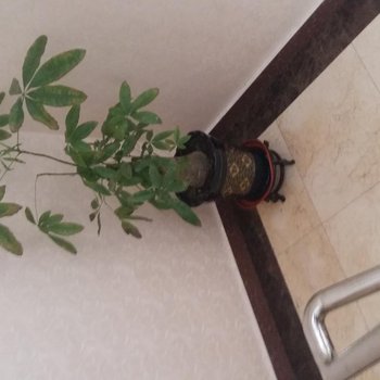 长岭风行宾馆酒店提供图片