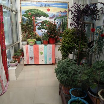 海西马卫清客栈(2号店)酒店提供图片