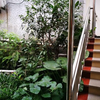 重庆林音庭宾馆酒店提供图片