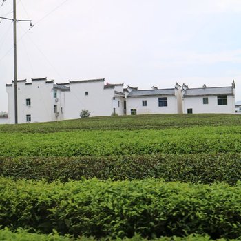 婺源老洪民宿酒店提供图片