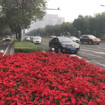 北京家庭港湾公寓(地盛中路分店)酒店提供图片