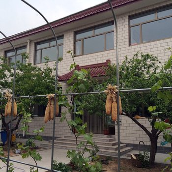 北京张宽农家院