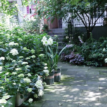 成都空中花园精品民宿(青羊大道草金路口店)酒店提供图片