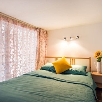 成都石头的家公寓(滨江路分店)酒店提供图片