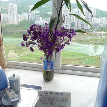 武隆英华公寓