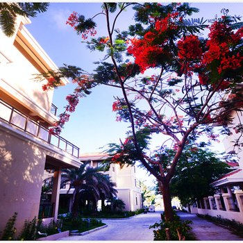 三亚浪琴屿海景别墅酒店提供图片