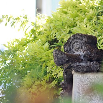 花莲菁华河畔民宿酒店提供图片