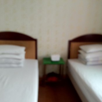 梅州大埔文化宾馆酒店提供图片
