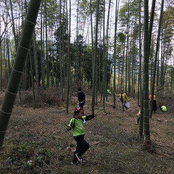 宜宾恋恋不舍客栈酒店提供图片