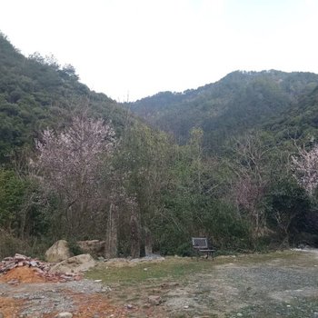 景德镇瑶里绿茶客栈(白居易路口分店)酒店提供图片