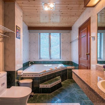 成都Cirle假日别墅酒店提供图片