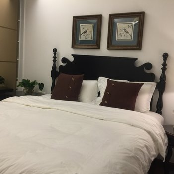 深圳设计师美寓酒店式公寓酒店提供图片
