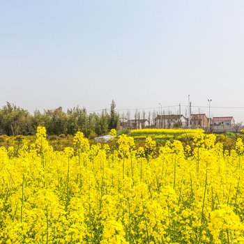 上海小小周家农家乐酒店提供图片