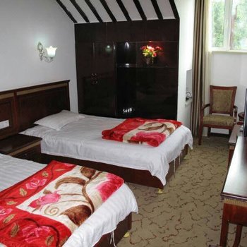 布尔津贾登峪格林酒店酒店提供图片