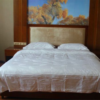 额济纳旗金林生态酒店酒店提供图片