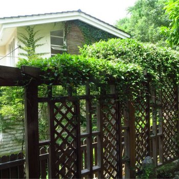 长泰发现之旅别墅公寓