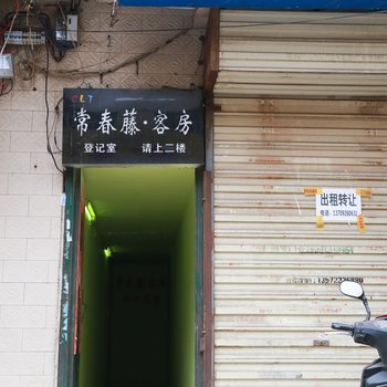 西安常春藤客房