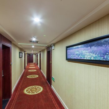 益阳维纳斯酒店迎宾西路店酒店提供图片