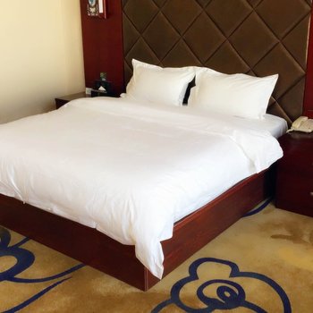 石嘴山金冠酒店酒店提供图片