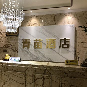 雅安青苗公寓酒店提供图片