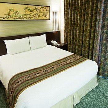 嘉义耐斯王子大饭店酒店提供图片