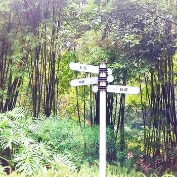 重庆孙静科普通公寓酒店提供图片