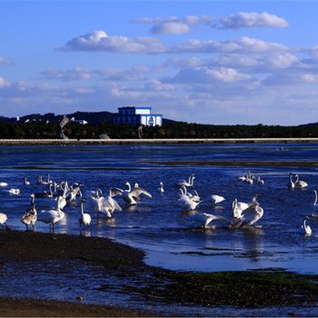 威海荣成洲际海景房酒店提供图片