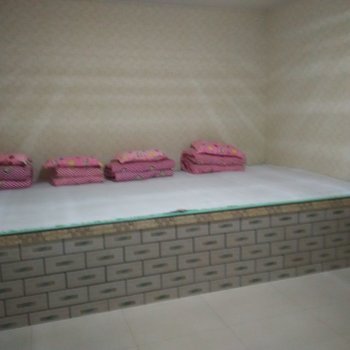 盘锦春富农家院酒店提供图片