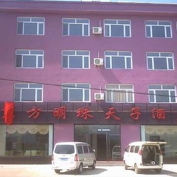 通化东方明珠天子酒店酒店提供图片