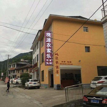 炎陵桃源农家宴住宿酒店提供图片