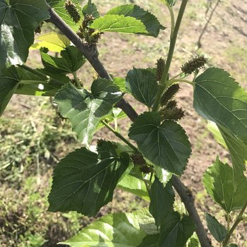 上海崇明人家民宿(建星路分店)酒店提供图片