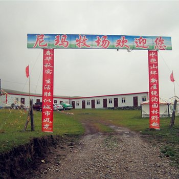 共和尼玛牧场
