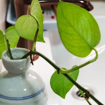 漳州漳州东山礼遇轻民宿酒店提供图片