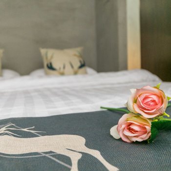 上海Alive日式榻榻米两居室近黄浦江普通公寓(北苏州路店)酒店提供图片