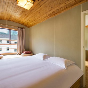 安吉欢庭山水统里度假酒店酒店提供图片